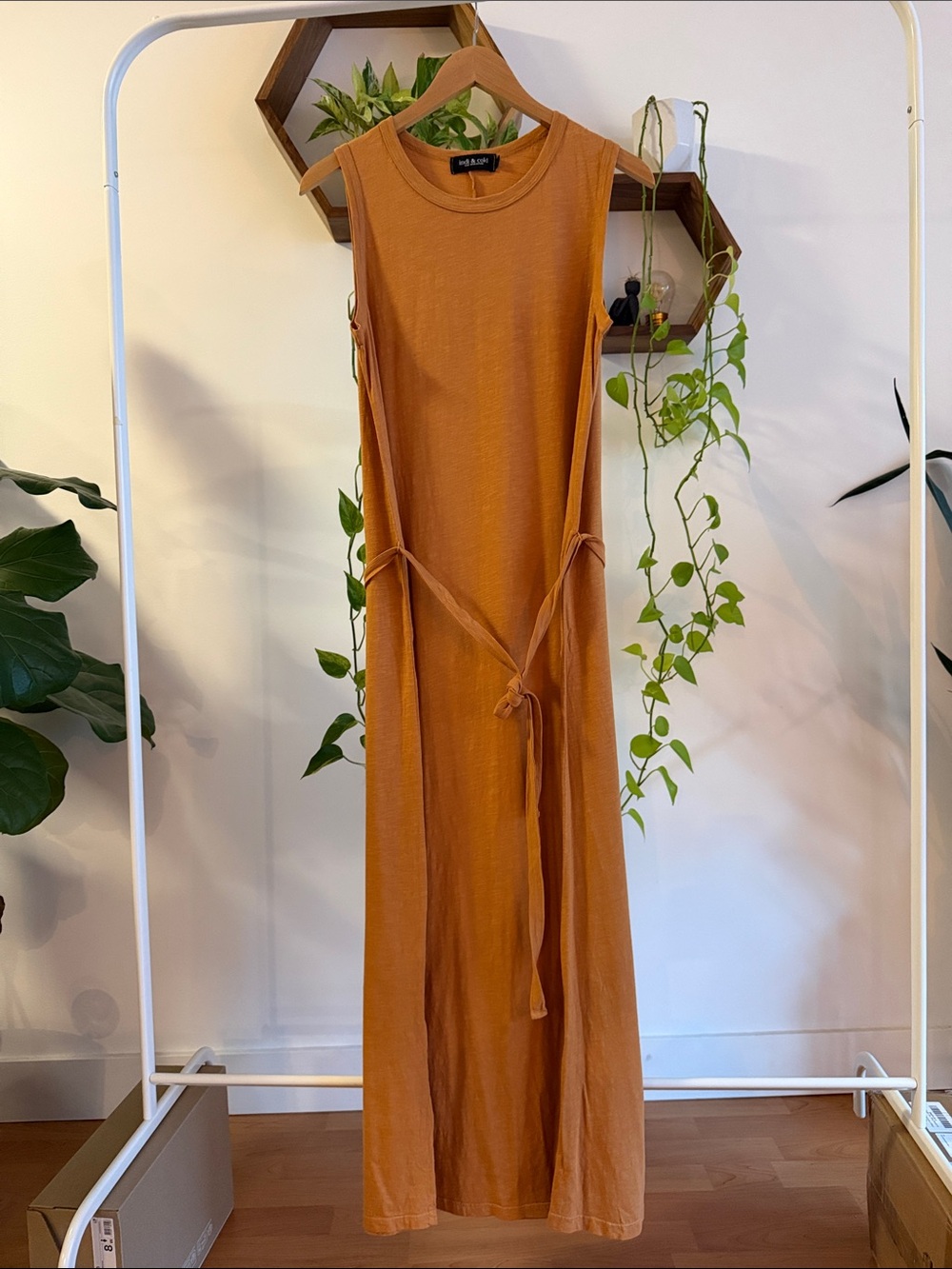 Sleeveless Tie-Waist Maxi Dress in Rust Orange